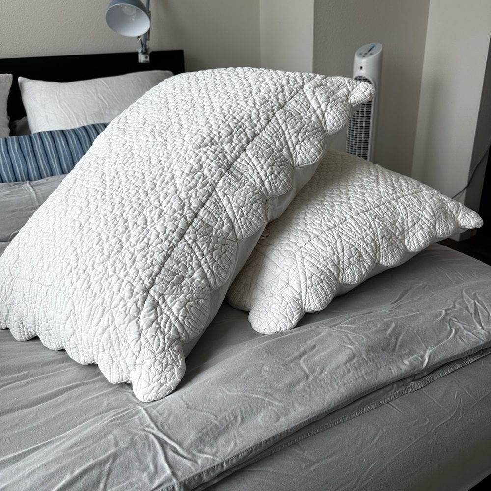 The Company Store White Quilted Pillow